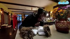 play BBW Camgirl Kay Lovely Gets Pleasure from Big Black Cock